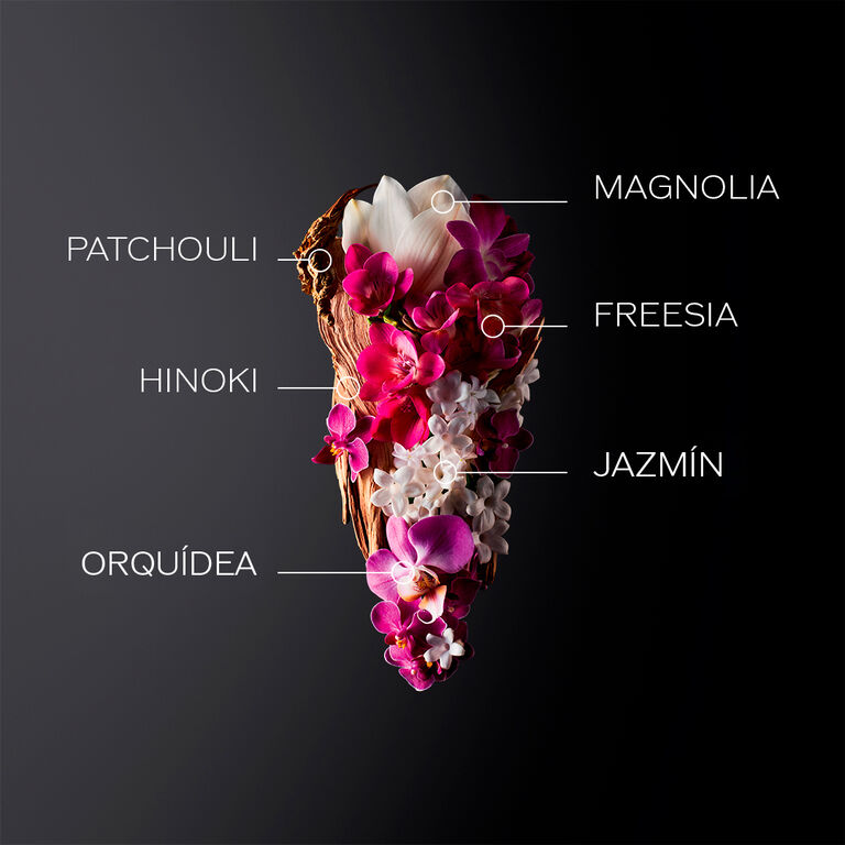 Ginza Holiday Kit, 