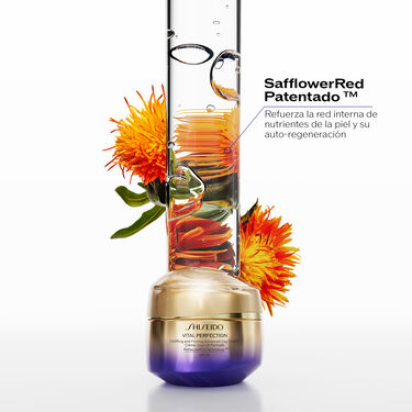 Uplifting and Firming Advanced Day Cream SPF30 Refill, 