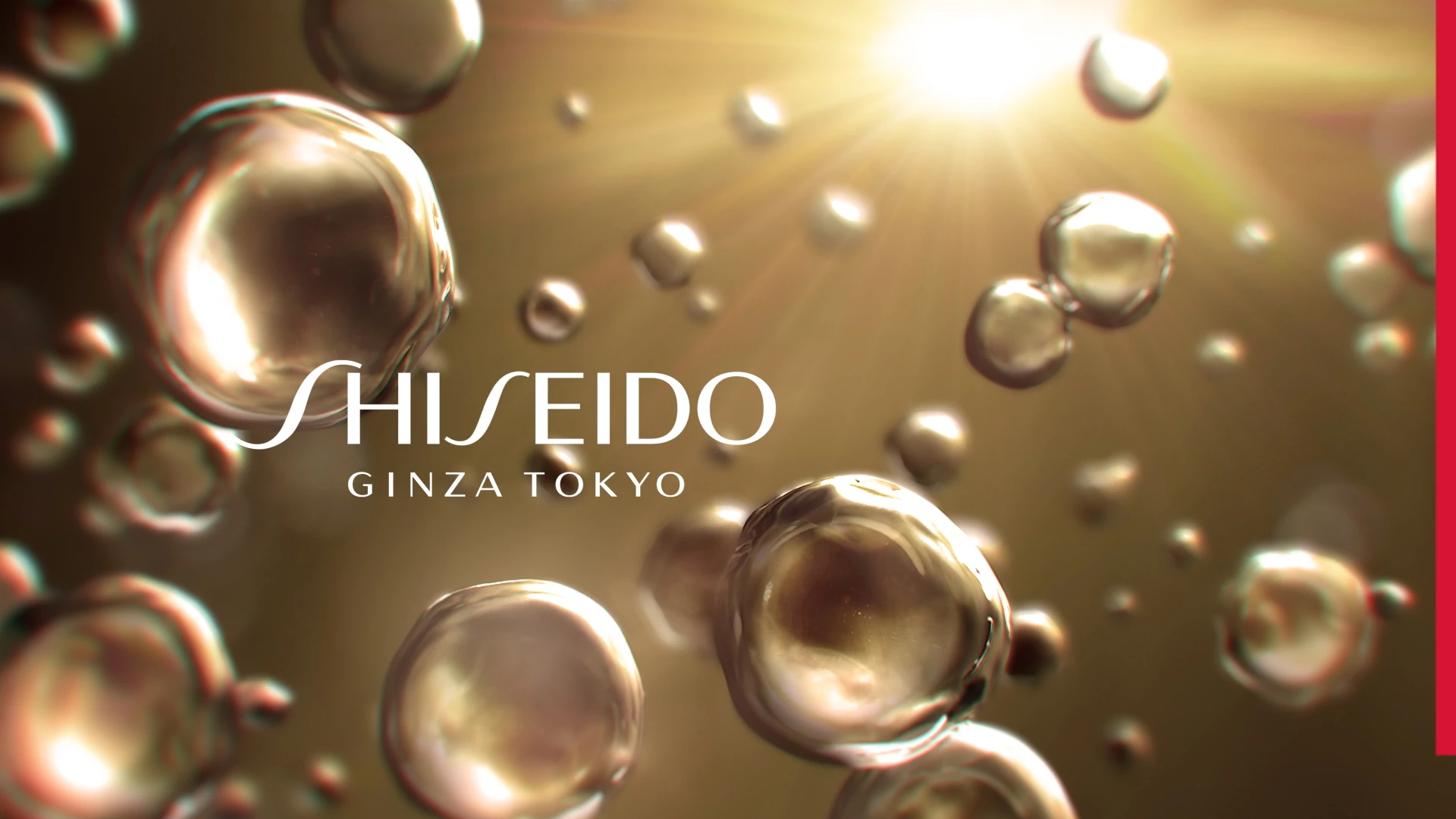 article hero desktop img