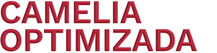 Camellia Optimized