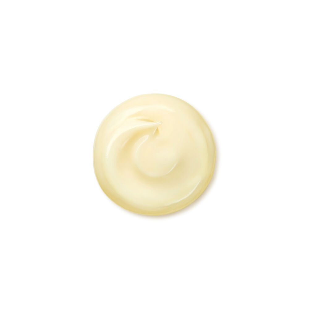 Wrinkle Smoothing Cream Enriched - Shiseido, Descuentos
