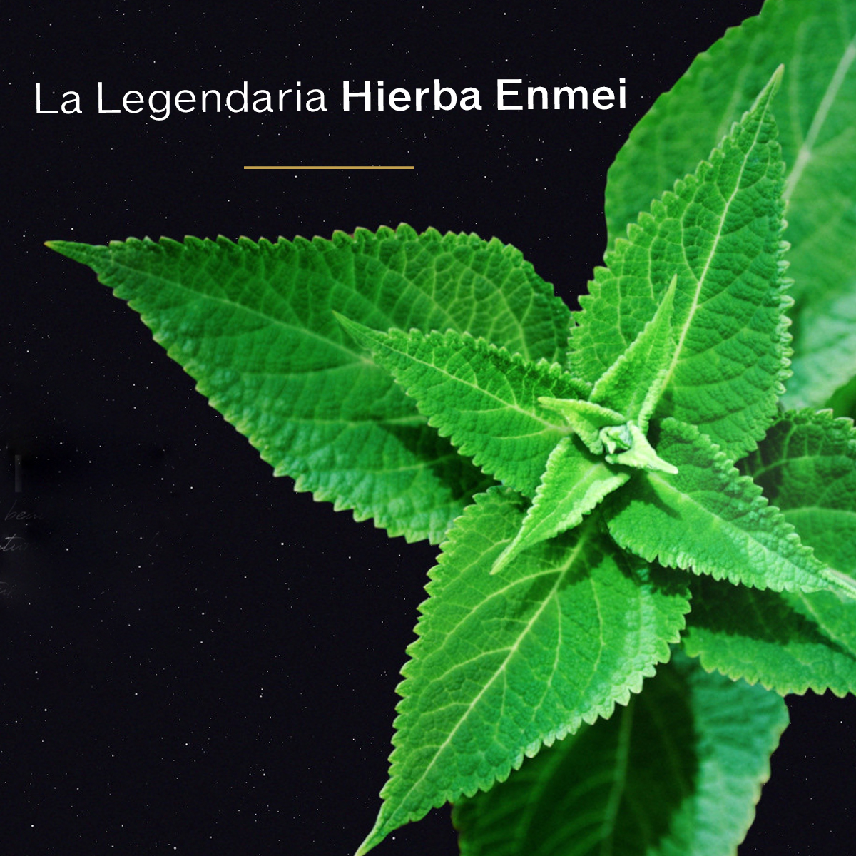 Total Protective Cream SPF20, 