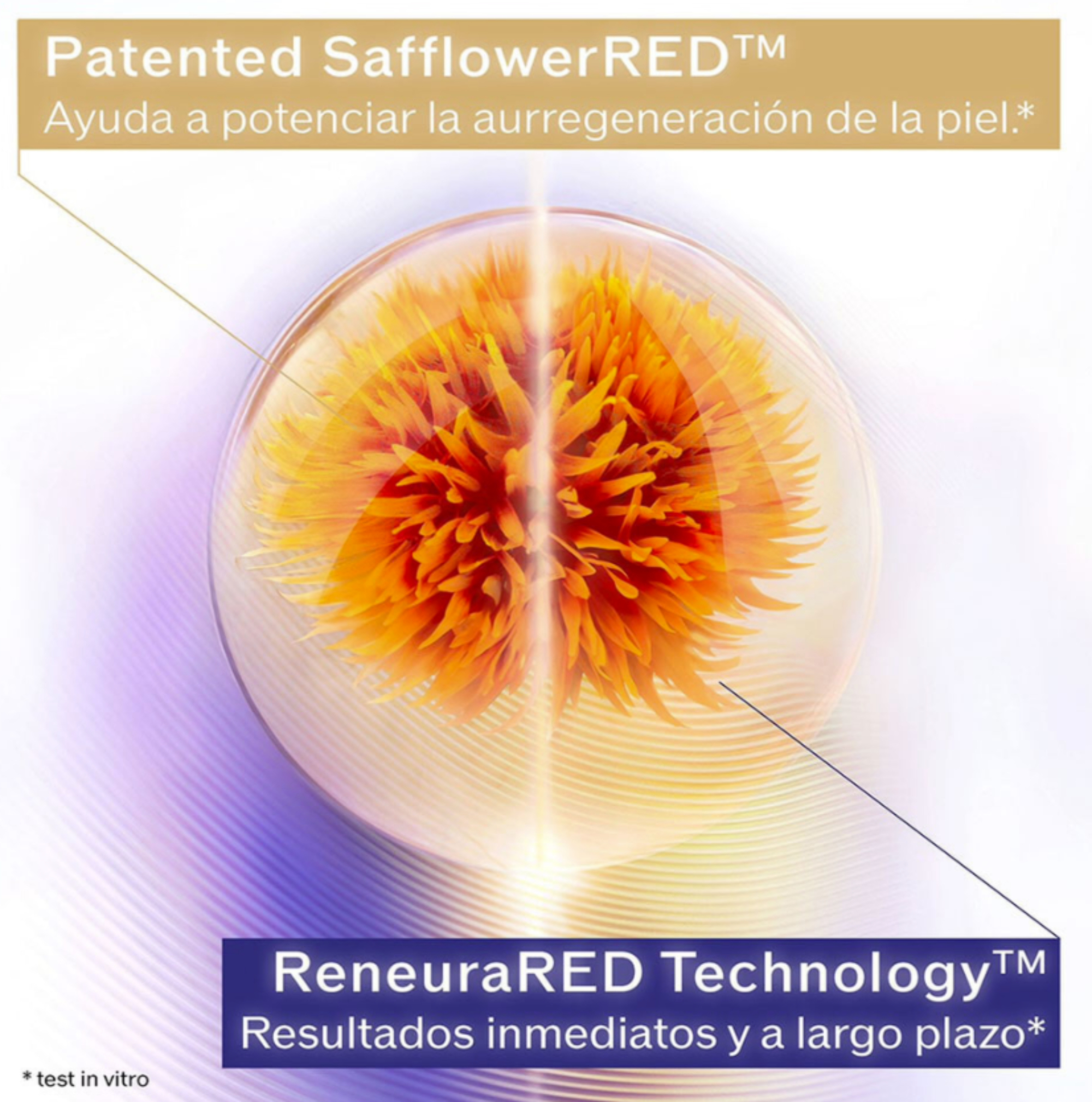 VITAL PERFECTION VALUE SET, 