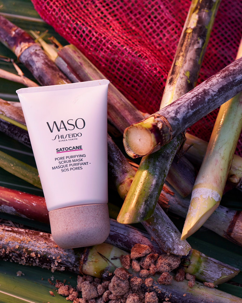 Shiseido ingredientes japoneses: Satokibi